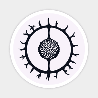 Radiolaria Magnet